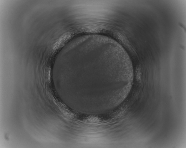 X0000100380685200806271335