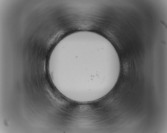 X0000100380686200806271335