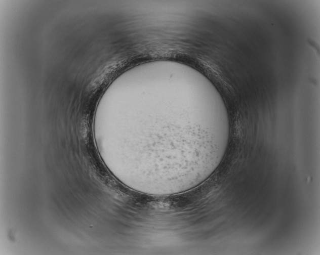 X0000100380687200806271335