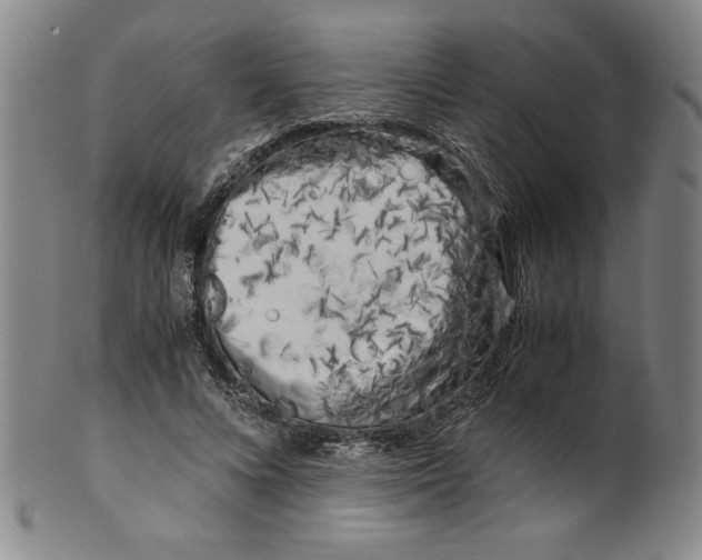 X0000100380688200806271335