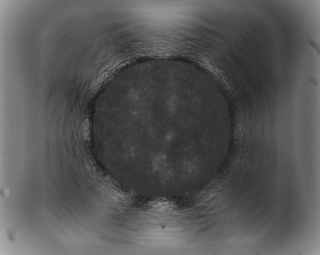 X0000100380689200806271335