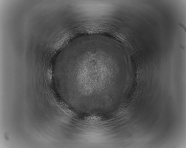 X0000100380691200806271334