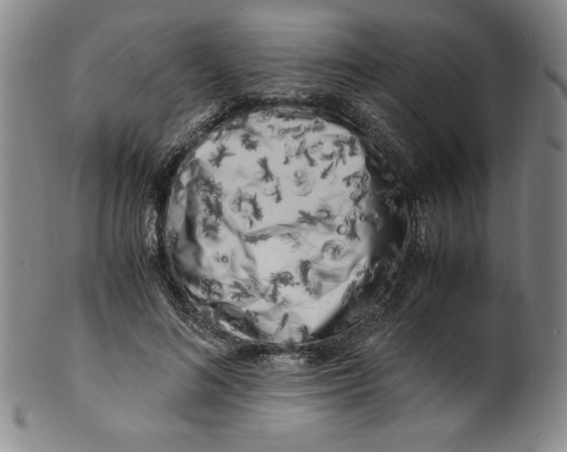 X0000100380692200806271334
