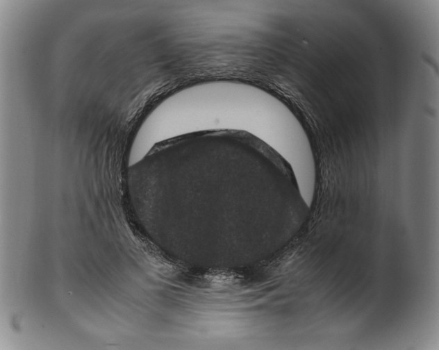 X0000100380693200806271334