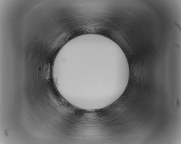 X0000100380694200806271334