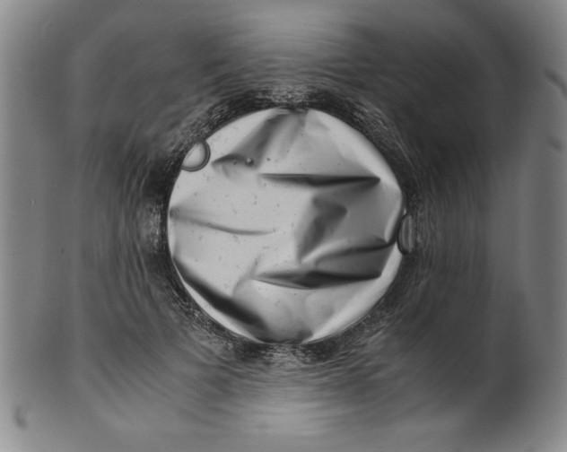 X0000100380697200806271334
