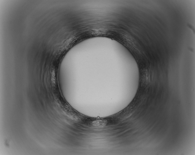 X0000100380700200806271334