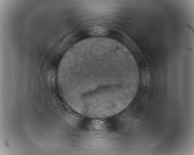 X0000100380701200806271334