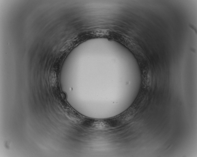 X0000100380704200806271334