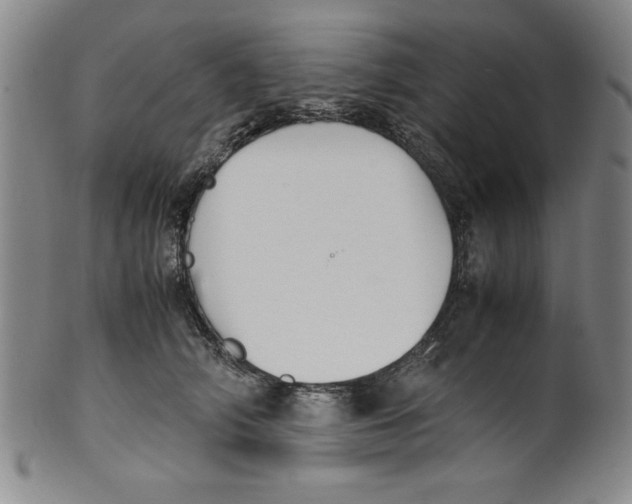 X0000100380706200806271334
