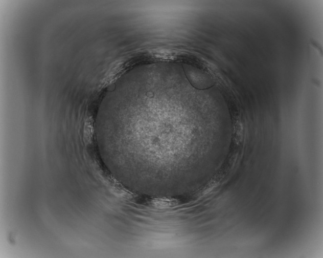 X0000100380707200806271334