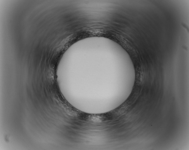 X0000100380710200806271334
