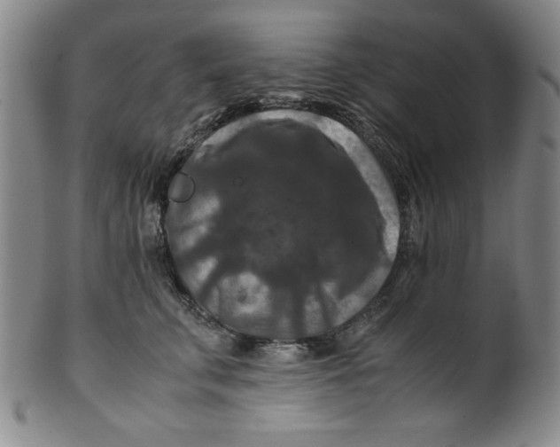 X0000100380711200806271334