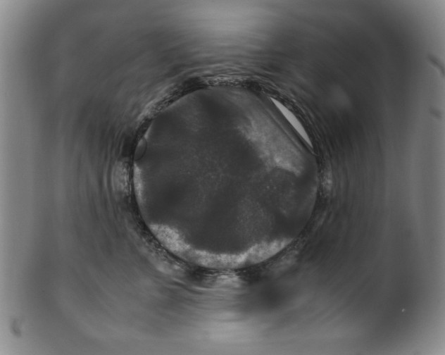 X0000100380715200806271334