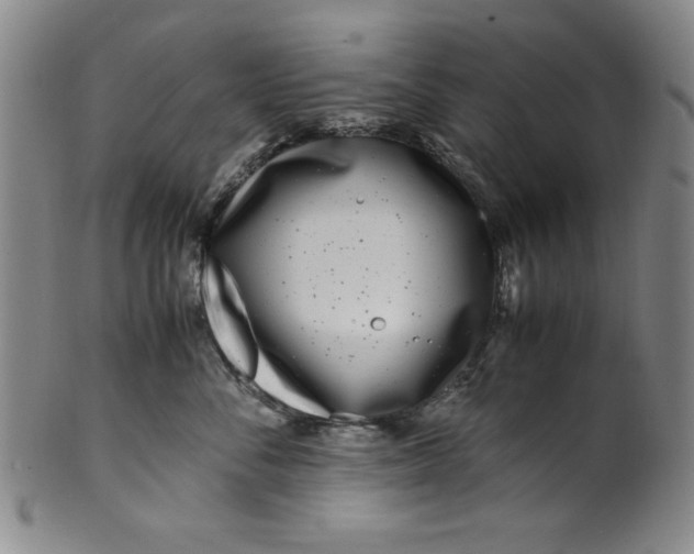 X0000100380716200806271334
