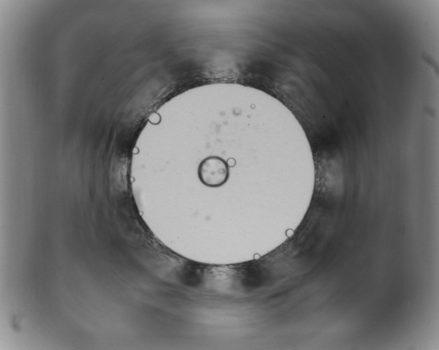 X0000100380717200806271334