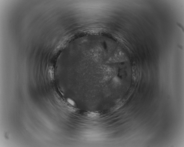 X0000100380718200806271334