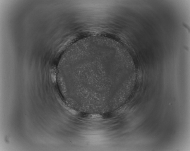 X0000100380719200806271334