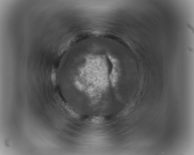 X0000100380720200806271334