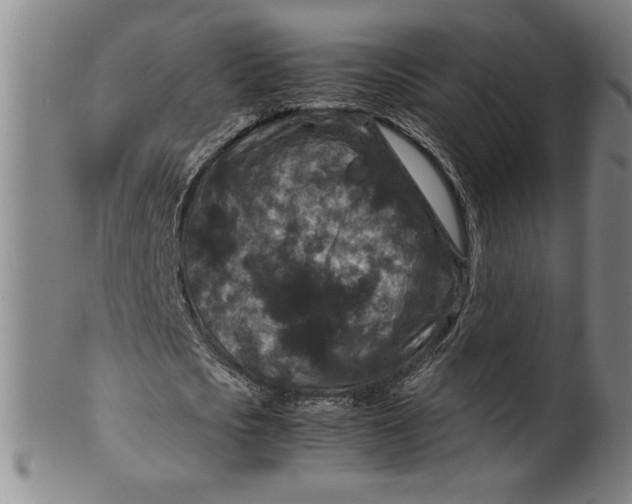 X0000100380721200806271333