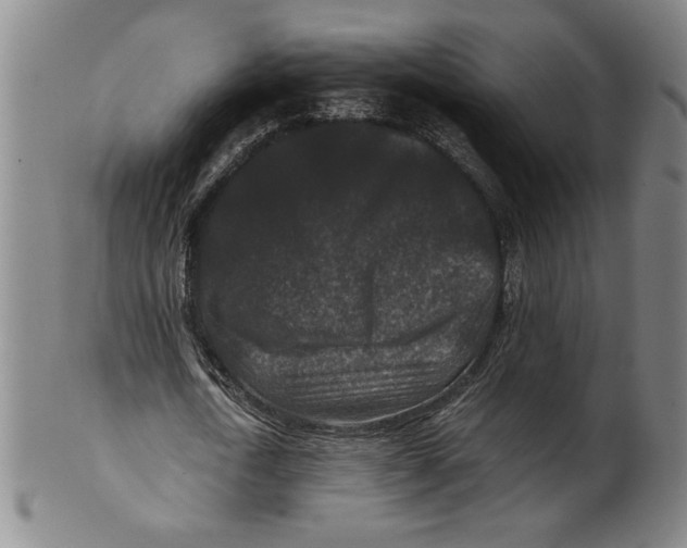 X0000100380722200806271333