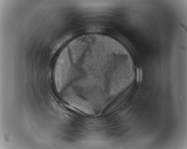 X0000100380723200806271333