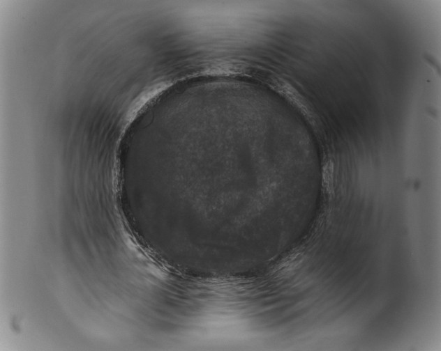 X0000100380724200806271333