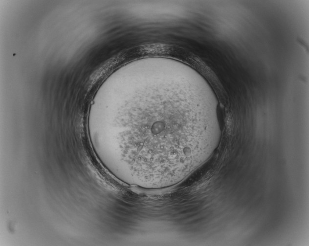 X0000100380725200806271333