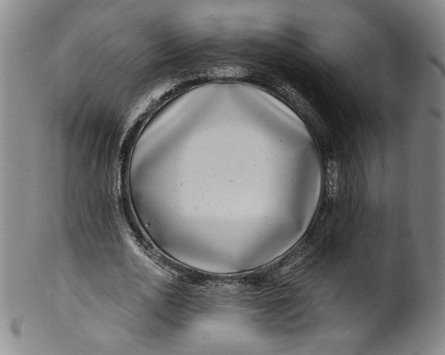 X0000100380726200806271333
