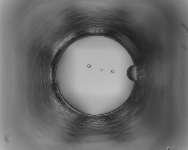 X0000100380727200806271333