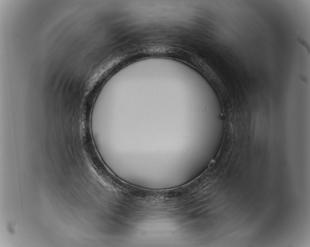 X0000100380728200806271333
