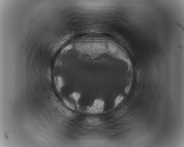 X0000100380729200806271333