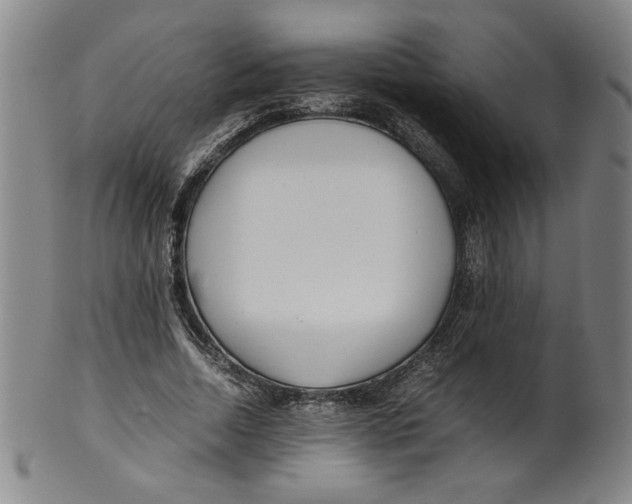 X0000100380730200806271333