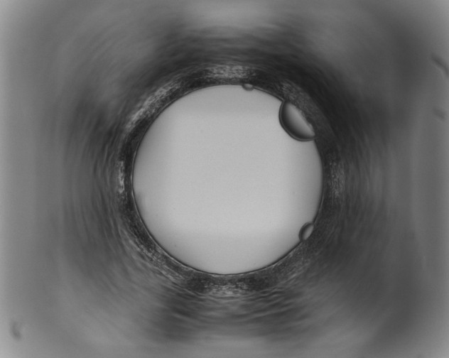 X0000100380731200806271333