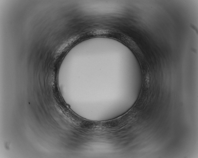 X0000100380732200806271333