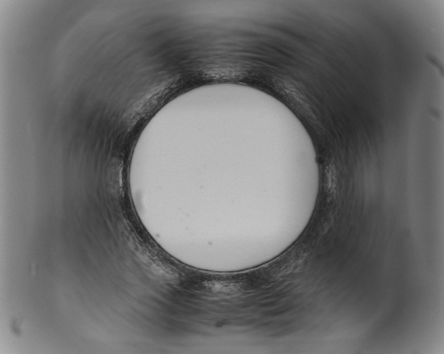 X0000100380733200806271333