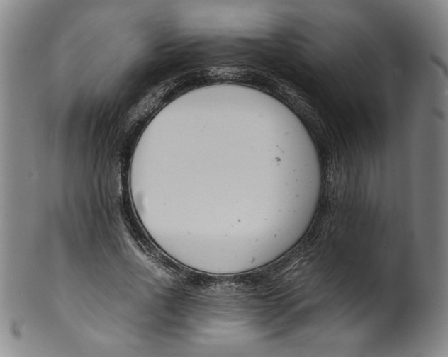 X0000100380734200806271334