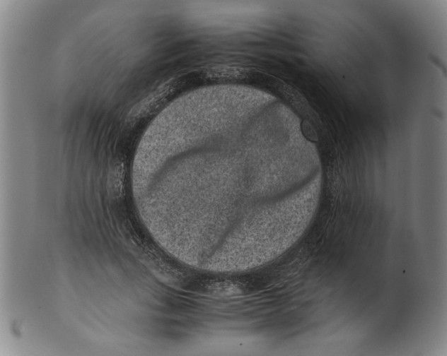 X0000100380735200806271334