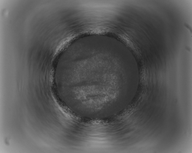 X0000100380736200806271334