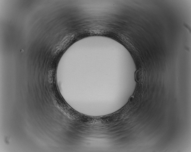 X0000100380738200806271334