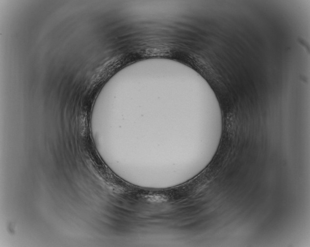 X0000100380741200806271334