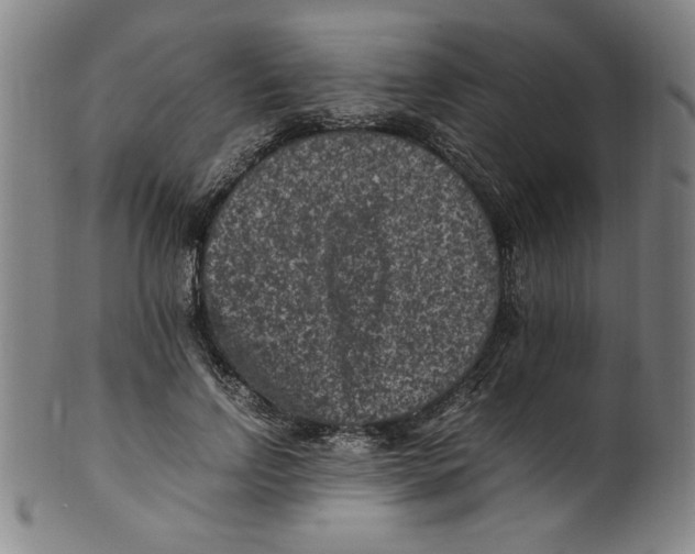 X0000100380742200806271334