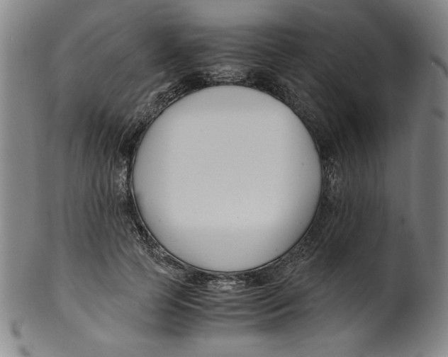 X0000100380745200806271334