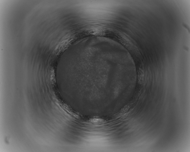 X0000100380748200806271334