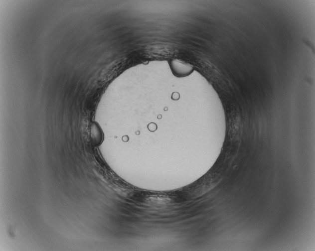 X0000100380749200806271334