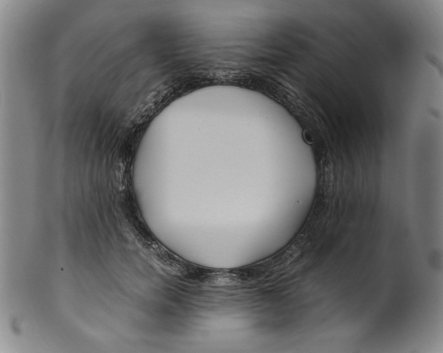 X0000100380750200806271334