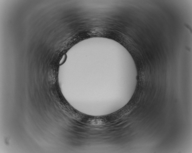 X0000100380751200806271334