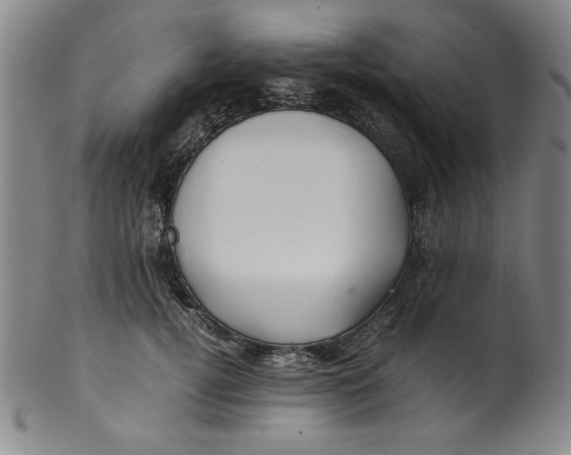 X0000100380752200806271334