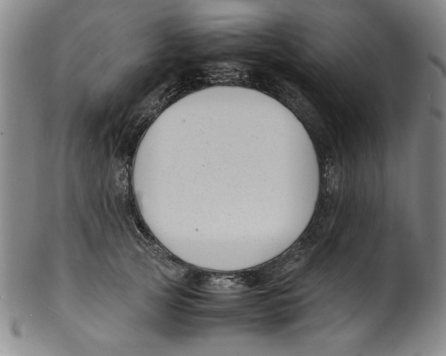 X0000100380753200806271334
