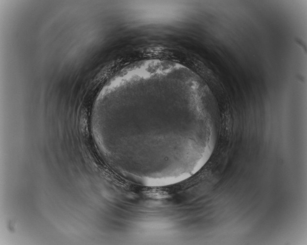 X0000100380754200806271334